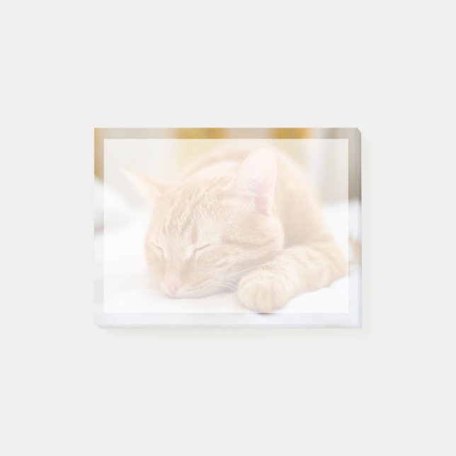 Niedliche Kleintiere | Sleeping Ginger Cat Post-it Klebezettel (Vorderseite)