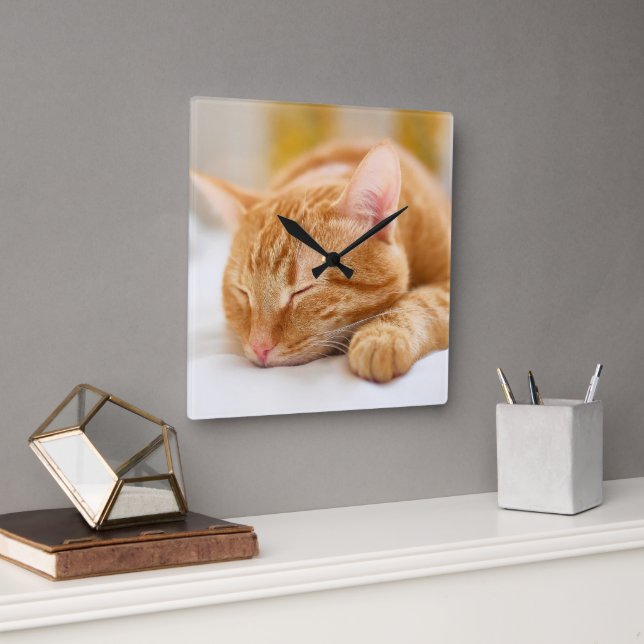 Niedliche Kleintiere | Sleeping Ginger Cat Quadratische Wanduhr (Büro)