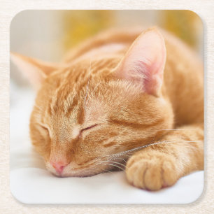 Niedliche Kleintiere Sleeping Ginger Cat Rechteckiger Pappuntersetzer