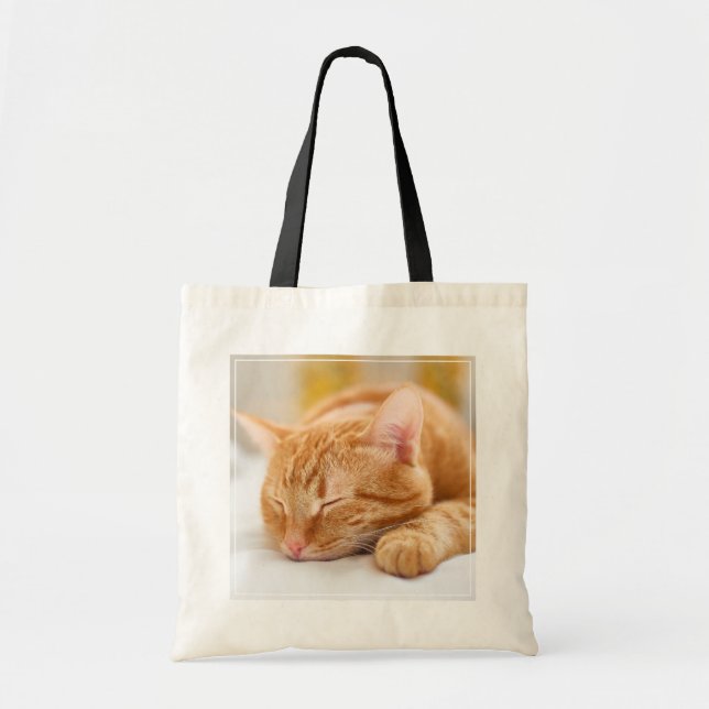 Niedliche Kleintiere | Sleeping Ginger Cat Tragetasche (Vorne)