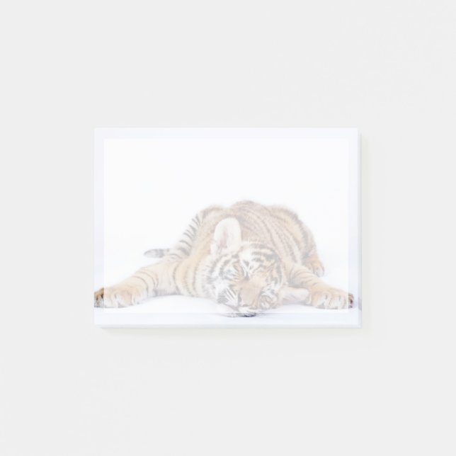 Niedliche Kleintiere | Sleepy Baby Tiger Cub Post-it Klebezettel (Vorderseite)