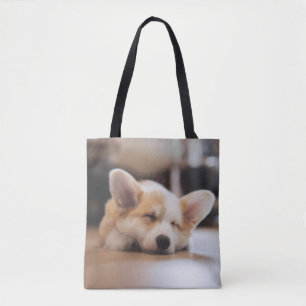 Niedliche Kleintiere Sleepy Corgi