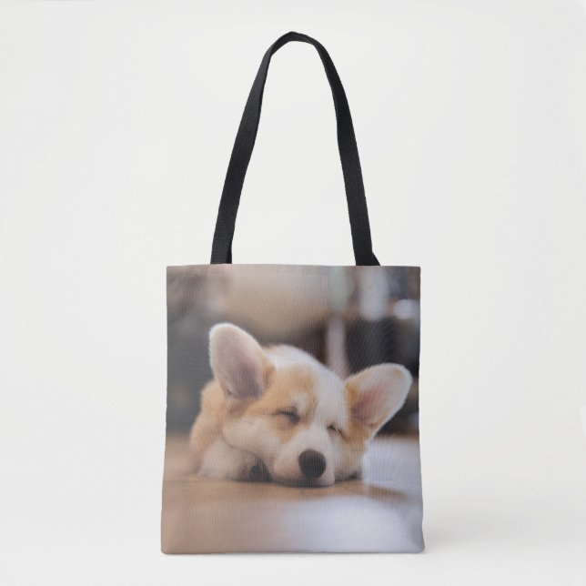 Niedliche Kleintiere | Sleepy Corgi (Vorderseite)