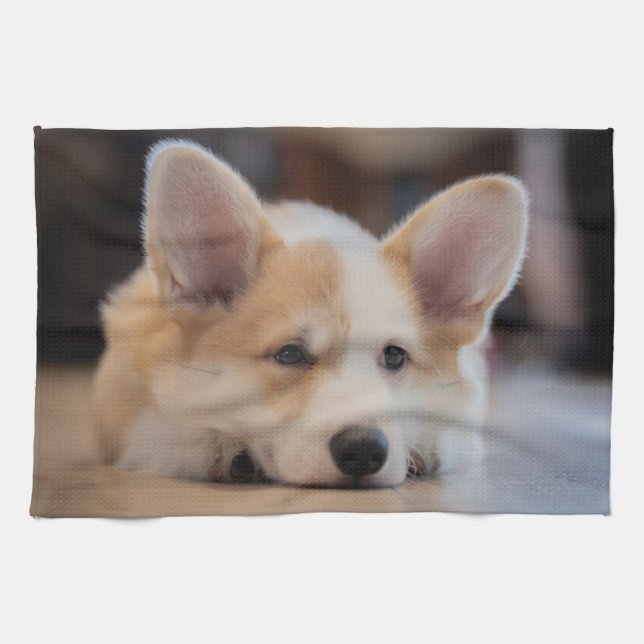 Niedliche Kleintiere | Sleepy Corgi Puppy Geschirrtuch (Horizontal)