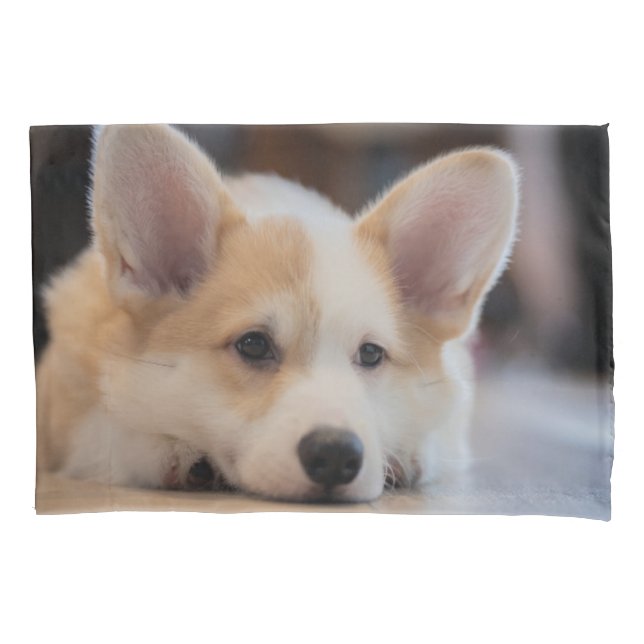 Niedliche Kleintiere | Sleepy Corgi Puppy Kissenbezug (Vorderseite)