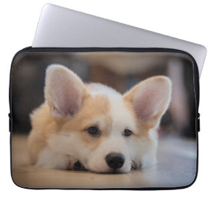 Niedliche Kleintiere Sleepy Corgi Puppy Laptopschutzhülle