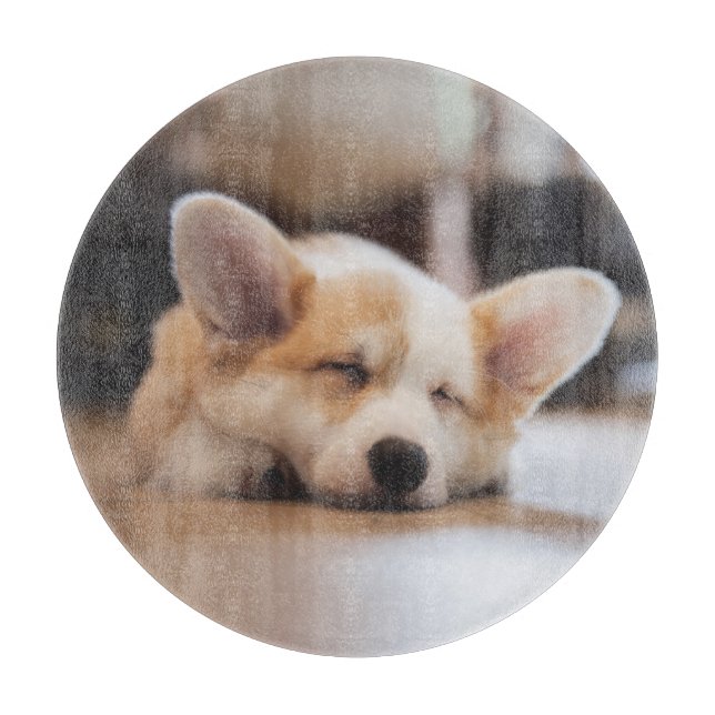Niedliche Kleintiere | Sleepy Corgi Schneidebrett (Vorderseite)