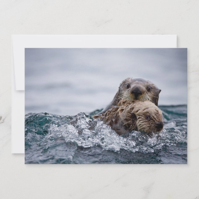 Niedliche Kleintiere | Sonstiges Baby & Mutter Dankeskarte (Vorderseite)