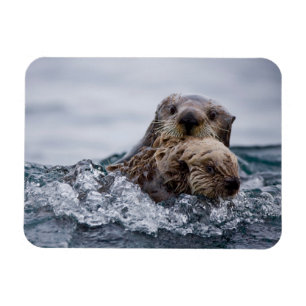 Niedliche Kleintiere Sonstiges Baby & Mutter Magnet