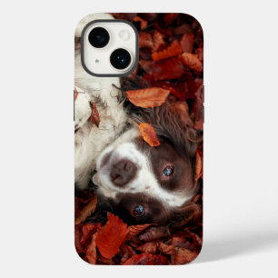 Niedliche Kleintiere Spanier im Herbstbereich Case-Mate iPhone 14 Hülle