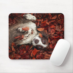 Niedliche Kleintiere Spanier im Herbstbereich Mousepad