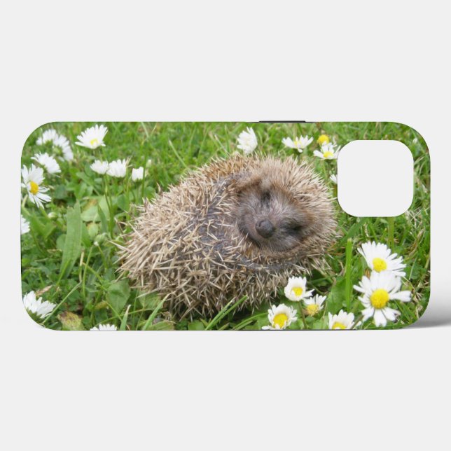 Niedliche Kleintiere | Spanischer Igel Case-Mate iPhone Hülle (Rückseite (Horizontal))