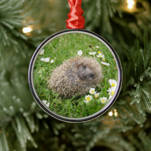 Niedliche Kleintiere Spanischer Igel Ornament Aus Metall