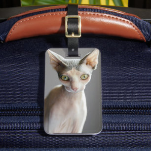 Niedliche Kleintiere   Sphinx Cat Gepäckanhänger