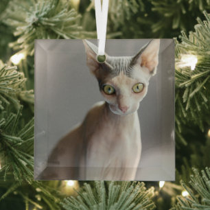 Niedliche Kleintiere   Sphinx Cat Ornament Aus Glas