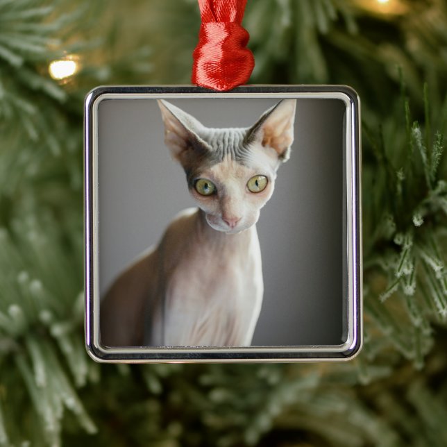Niedliche Kleintiere | Sphinx Cat Ornament Aus Metall (Baum)