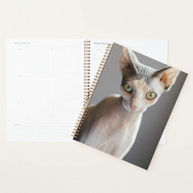 Niedliche Kleintiere | Sphinx Cat Planer (Anzeige)
