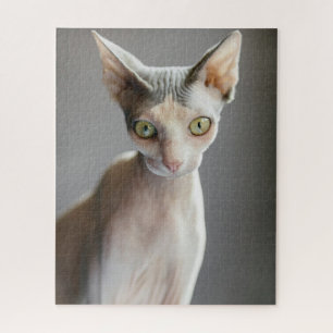 Niedliche Kleintiere Sphinx Cat Puzzle