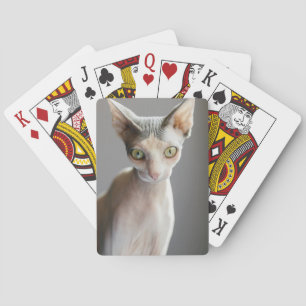 Niedliche Kleintiere   Sphinx Cat Spielkarten