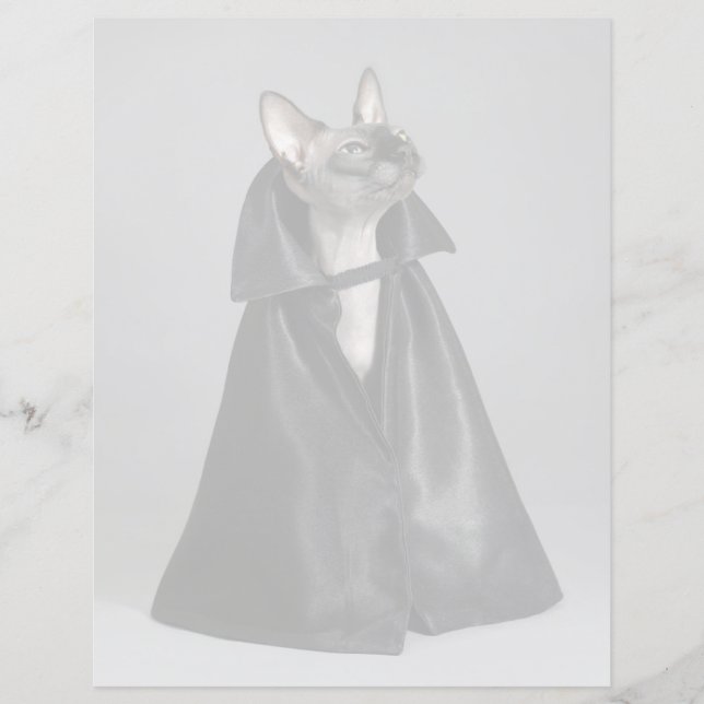 Niedliche Kleintiere | Sphynx Hairless Cat (Vorderseite)