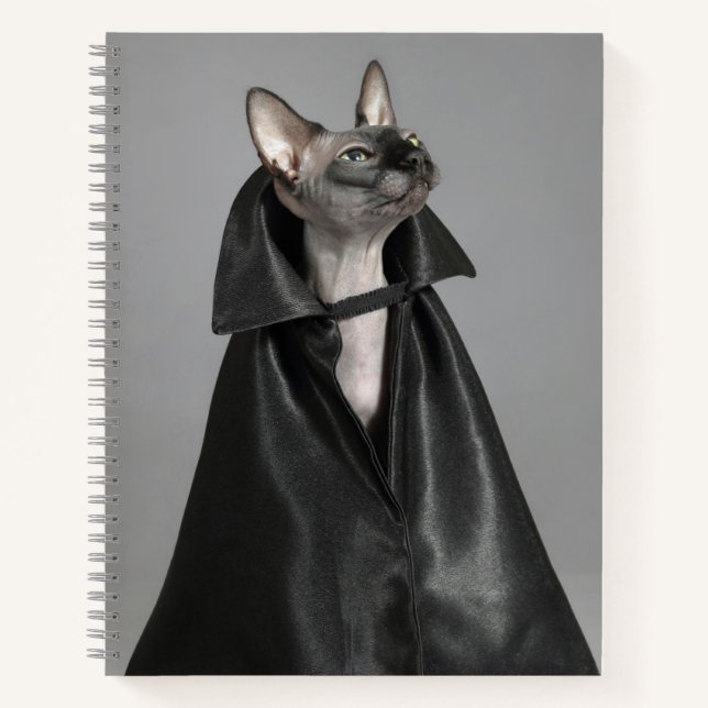Niedliche Kleintiere | Sphynx Hairless Cat Notizbuch (Vorderseite)