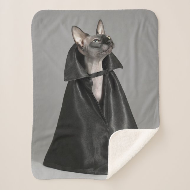 Niedliche Kleintiere | Sphynx Hairless Cat Sherpadecke (Vorderseite)