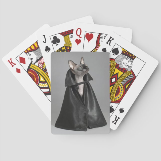Niedliche Kleintiere | Sphynx Hairless Cat Spielkarten (Rückseite)
