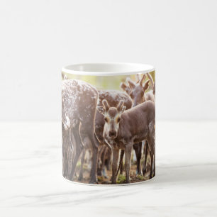 Niedliche Kleintiere Svalbard Rentier Kaffeetasse