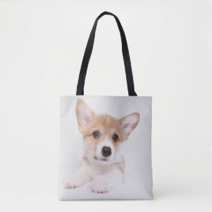 Niedliche Kleintiere Sweet Baby Corgi