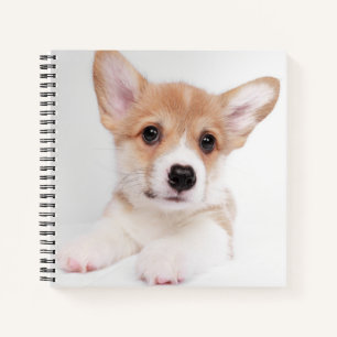 Niedliche Kleintiere Sweet Baby Corgi Notizbuch