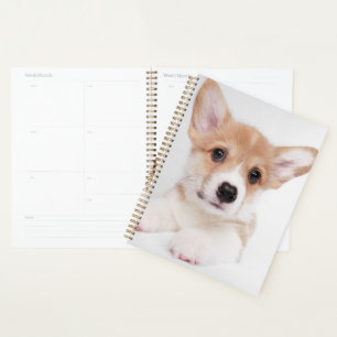 Niedliche Kleintiere Sweet Baby Corgi Planer