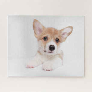 Niedliche Kleintiere Sweet Baby Corgi Puzzle
