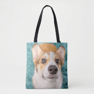 Niedliche Kleintiere Sweet Corgi Puppy Face