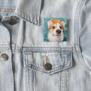 Niedliche Kleintiere   Sweet Corgi Puppy Face Button