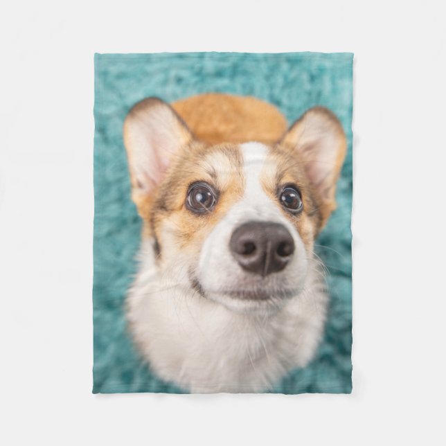 Niedliche Kleintiere | Sweet Corgi Puppy Face Fleecedecke (Vorderseite)