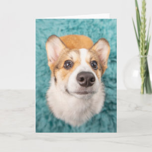 Niedliche Kleintiere Sweet Corgi Puppy Face Karte