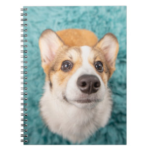 Niedliche Kleintiere Sweet Corgi Puppy Face Notizblock