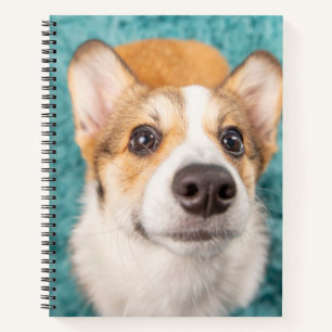 Niedliche Kleintiere Sweet Corgi Puppy Face Notizbuch