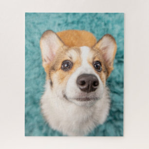 Niedliche Kleintiere   Sweet Corgi Puppy Face Puzzle