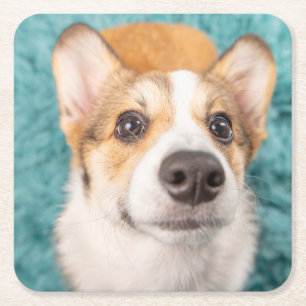 Niedliche Kleintiere   Sweet Corgi Puppy Face Rechteckiger Pappuntersetzer
