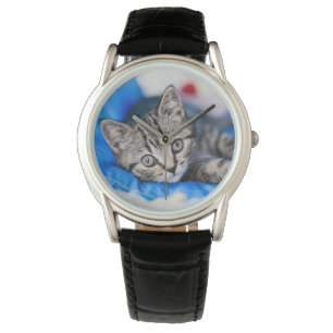 Niedliche Kleintiere Tabby Kitten im Spieltunnel Armbanduhr
