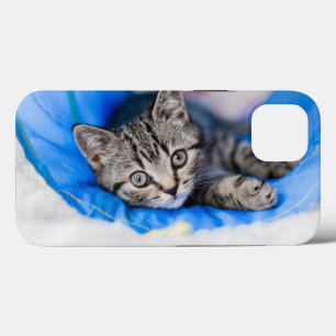 Niedliche Kleintiere   Tabby Kitten im Spieltunnel Case-Mate iPhone Hülle