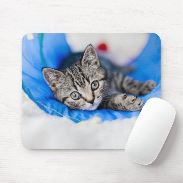 Niedliche Kleintiere | Tabby Kitten im Spieltunnel Mousepad (Mit Mouse)