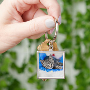 Niedliche Kleintiere Tabby Kitten im Spieltunnel Schlüsselanhänger