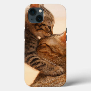 Niedliche Kleintiere Tabby Kitten Kiss Case-Mate iPhone Hülle