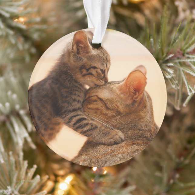 Niedliche Kleintiere | Tabby Kitten Kiss Ornament (Baum)