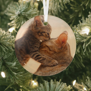 Niedliche Kleintiere   Tabby Kitten Kiss Ornament Aus Glas