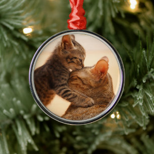 Niedliche Kleintiere   Tabby Kitten Kiss Ornament Aus Metall