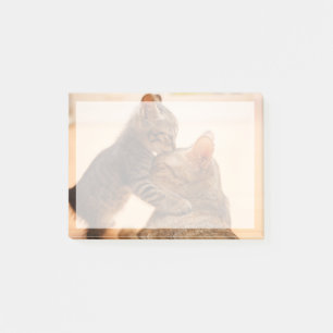 Niedliche Kleintiere   Tabby Kitten Kiss Post-it Klebezettel