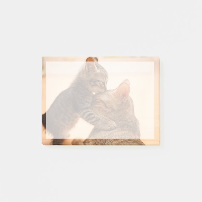 Niedliche Kleintiere | Tabby Kitten Kiss Post-it Klebezettel (Vorderseite)